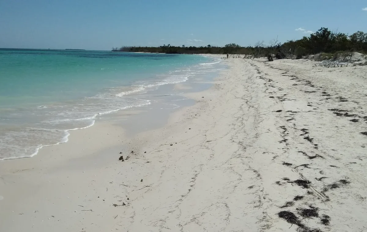 Plage de Cayo Levisa sur la côte nord de Cuba