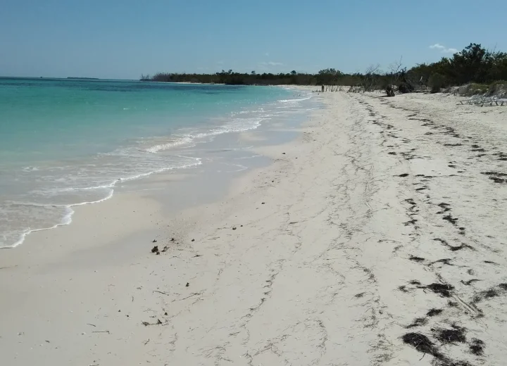 Plage de Cayo Levisa sur la côte nord de Cuba