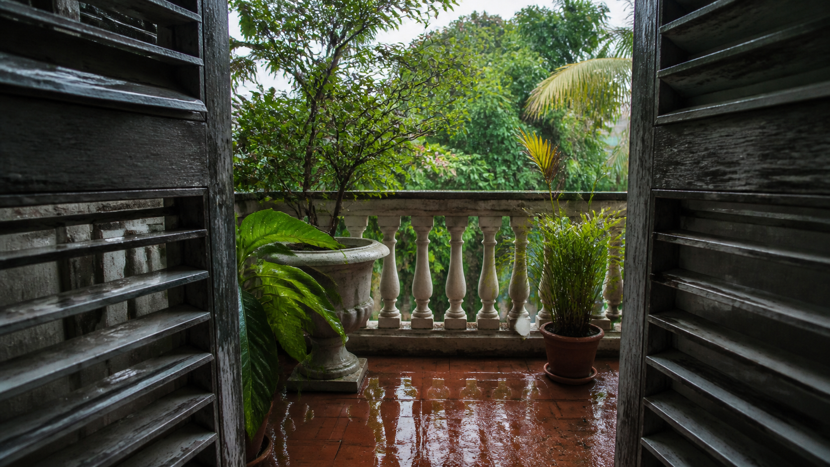 Terrasse tropicale après une averse