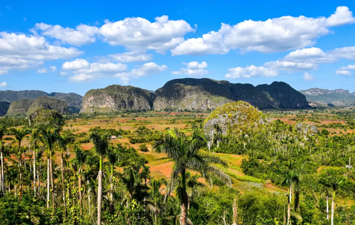 Mogotes et champs dans la vallée de Viñales