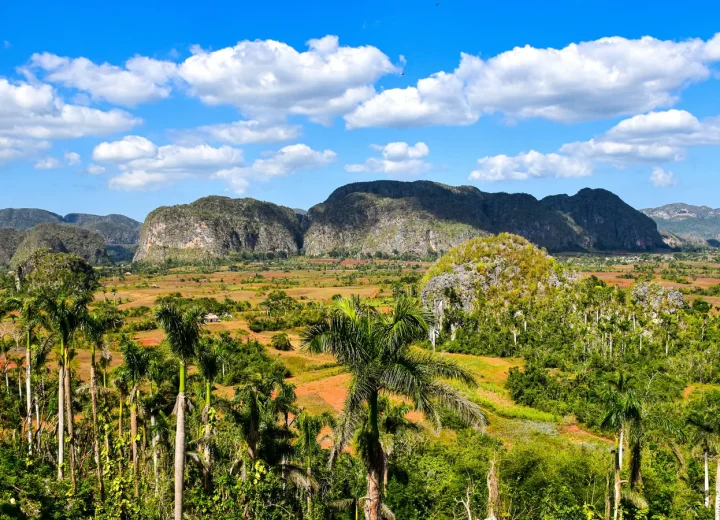 Mogotes et champs dans la vallée de Viñales